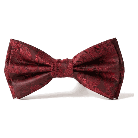 Nœuds papillon