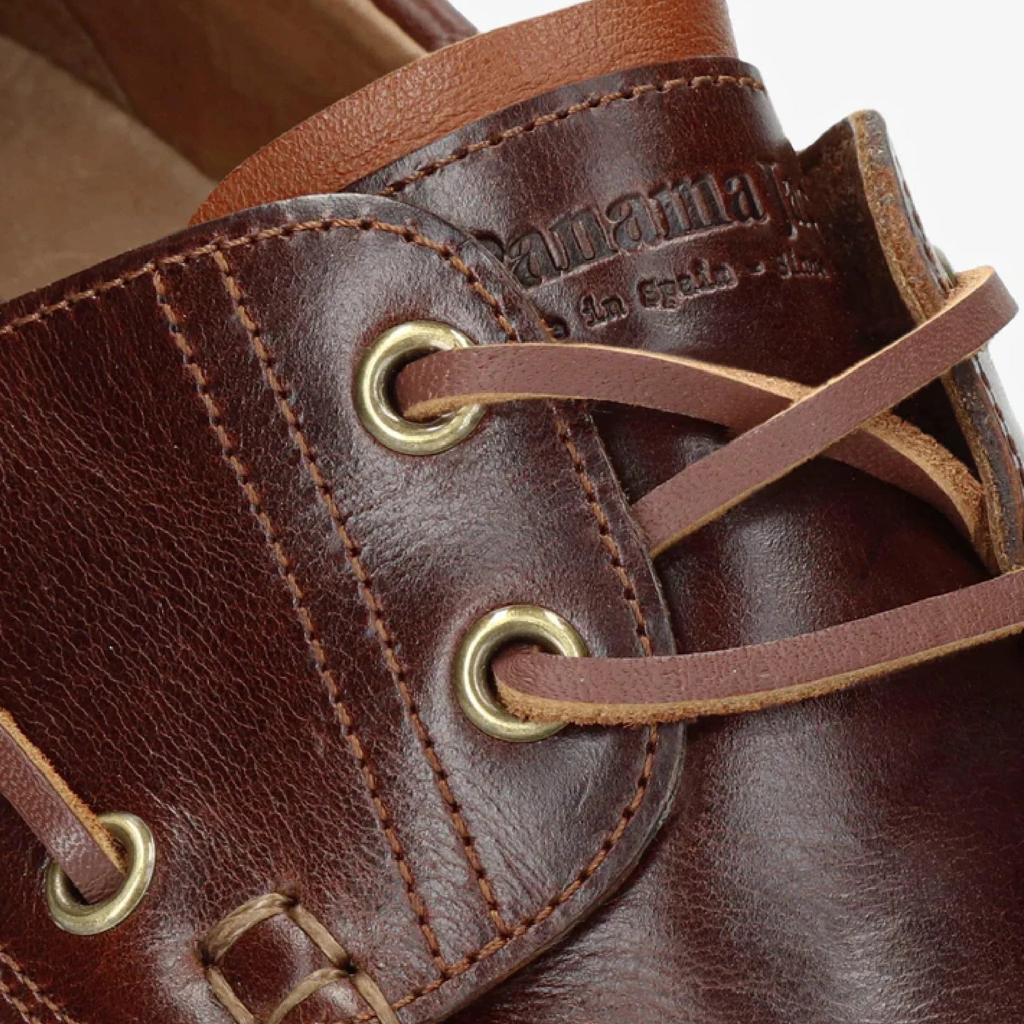 Bottines Boat C8 pour homme, imperméables, en cuir marron, à tige basse.