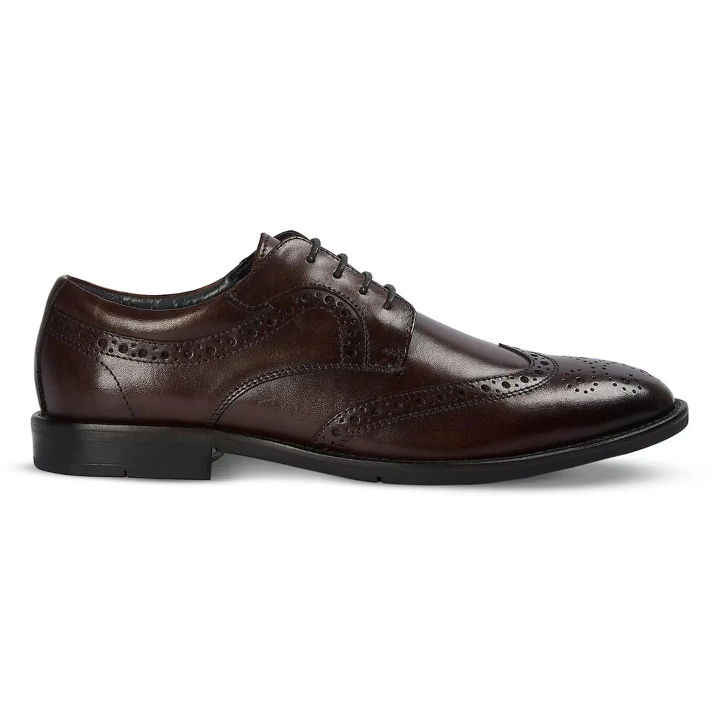 Cambridge - Chaussures Derby Brogue à bout golf marron foncé pour homme