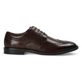 Cambridge - Chaussures Derby Brogue à bout golf marron foncé pour homme